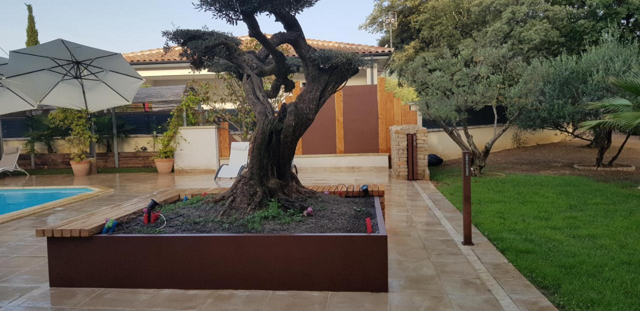 Les Gites De L'Arbousier Quissac  Esterno foto